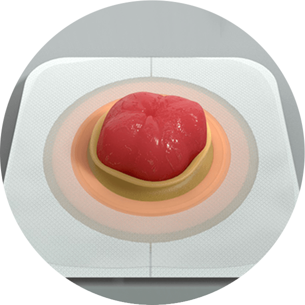 a close-up of a baseplate